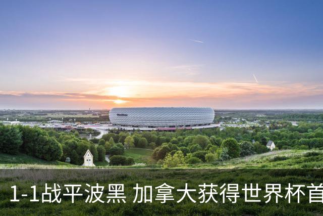 1-1战平波黑 加拿大获得世界杯首个积分